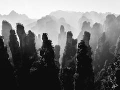 [화산귀환] 사량침주(捨糧沈舟) 1