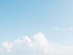 따사로이 피어나는 봄이 되길