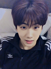 박지성 관찰일기