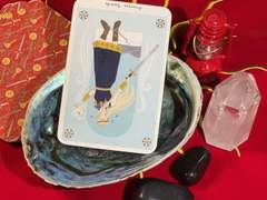 이번 주의 카드: Page of Swords reversed