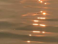 𝑬𝒕𝒉𝒂𝒏 𝑭𝒐𝒗𝒆𝒐 𝑨𝒑𝒓𝒊𝒄𝒖𝒔 º 𝑓𝑖𝑟𝑠𝑡 𝑔𝑟𝑎𝑑𝑒𝑟