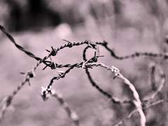 고요 속의 외침 下.