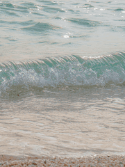 드림주 작중행적