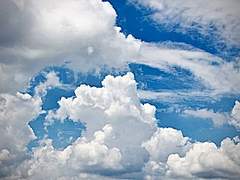 정오는 레몬 사탕 색