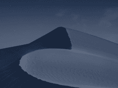 질문, 소통, 리퀘수단