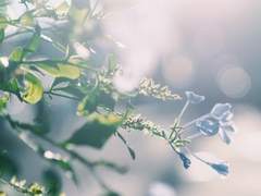 [은예/현예] 우리의 계절 (四季)