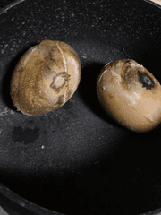 회피형인간 일기