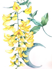 드림 단편 모음