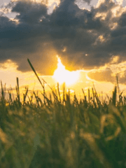 햇빛 한줄기(단편)_해피니스