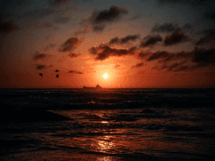 이미 알고 있다