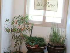 좋은 기운을 부르는 명상의 시간...