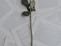 남주 투표 해주세요!