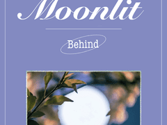B. Moonlit