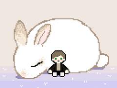 사이버 토끼를 입양하세요