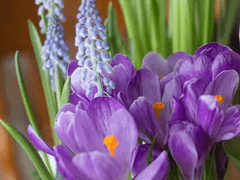 영원히 너의 운명을 기도할게