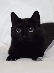 팬픽 후기 씁니다 