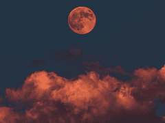 드림주 진영반전 구몬