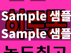 도리벤 범천 찌라시(산즈 하루치요)