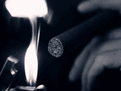 편집영상 백업 #4