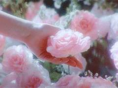 𝐀𝐩𝐡𝐫𝐨𝐝𝐢𝐭𝐞 𝐏. 𝐀𝐝𝐨𝐫𝐚𝐛𝐥𝐞