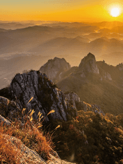 도리벤드림 뇌절 조각