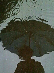 옆집 남자 관찰 일기