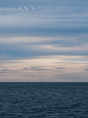 앙상블 스타즈의 드림물