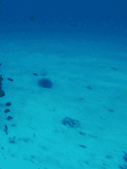 이기심을 열람하시겠습니까?