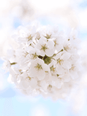 르라의 '늪지대' 단편 모음집