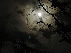 달을 보다/정 서