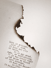 당신의 조언은 쓸모없다