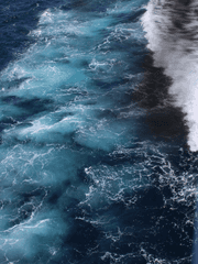 한겨울의 비밀 이야기