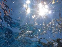 찰나의 한 순간만 아름다운 것