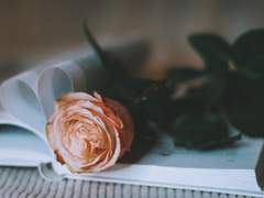 You always make me sad.