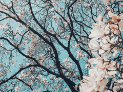 엿보이는 것은 기억 조각인가, 예언인가, 미래인가?