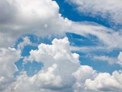 엘리파스 레비 휠 스프레드 타입 샘플