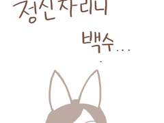 점보의 일기 시작