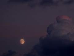 53화. 제6장: 재앙(災殃) (2)