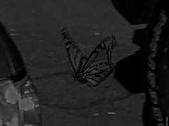 사명감 하나에 네 전부를 잃었다