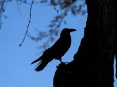 41화: 스물두 번째 꿈 <공기의 요정>