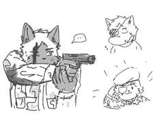 에르빈 슈펜하우어