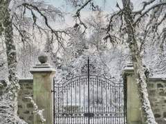 <악마에게 바치는 겨울의 기도> 속 제로피리 관계성 타로점