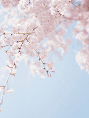 창세기: 던전 오브 레전드