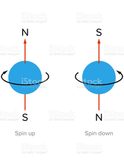 회전양자역학 질의객체