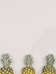 [캇데쿠토도] 리버스 오메가버스 AU