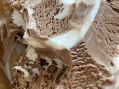 바이올린과 다시마의 콜라보