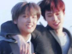 초코푸들 코코랑 동거하는 썰