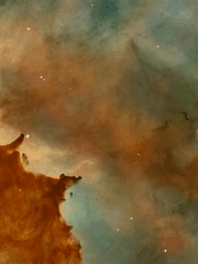 누군가의 창세기