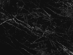 서로가 흩어진 자리엔