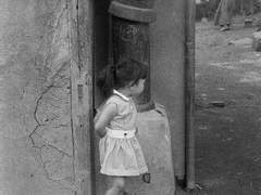 순수한 마음으로 수요일을...